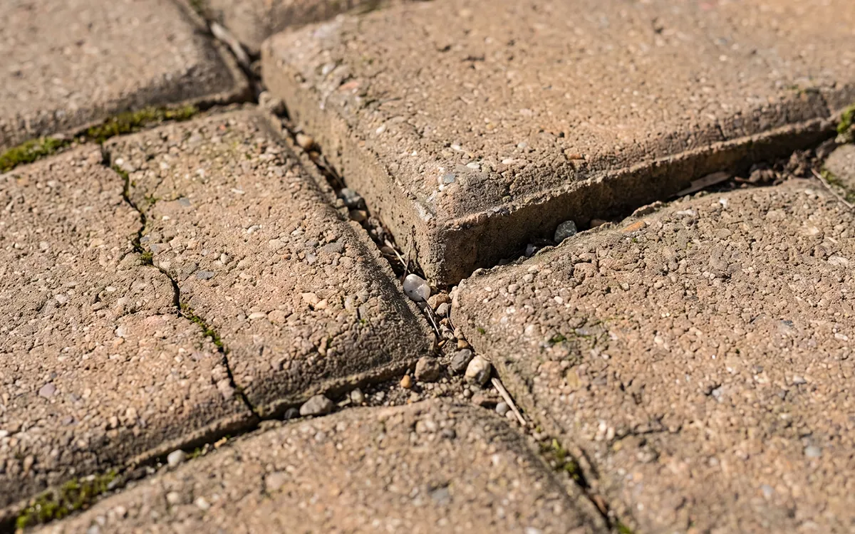 Receded joint sand on a Florida paver driveway signaling the sealer has failed