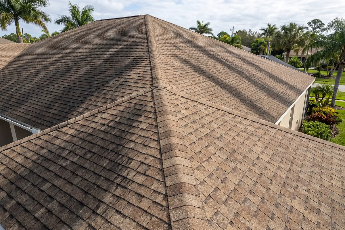 Algae streaking on a shingle roof and salt residue on a Port Charlotte canal home