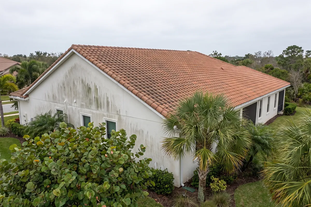 Salt weathering and algae streaking on the Gulf-facing side of a Venice FL home