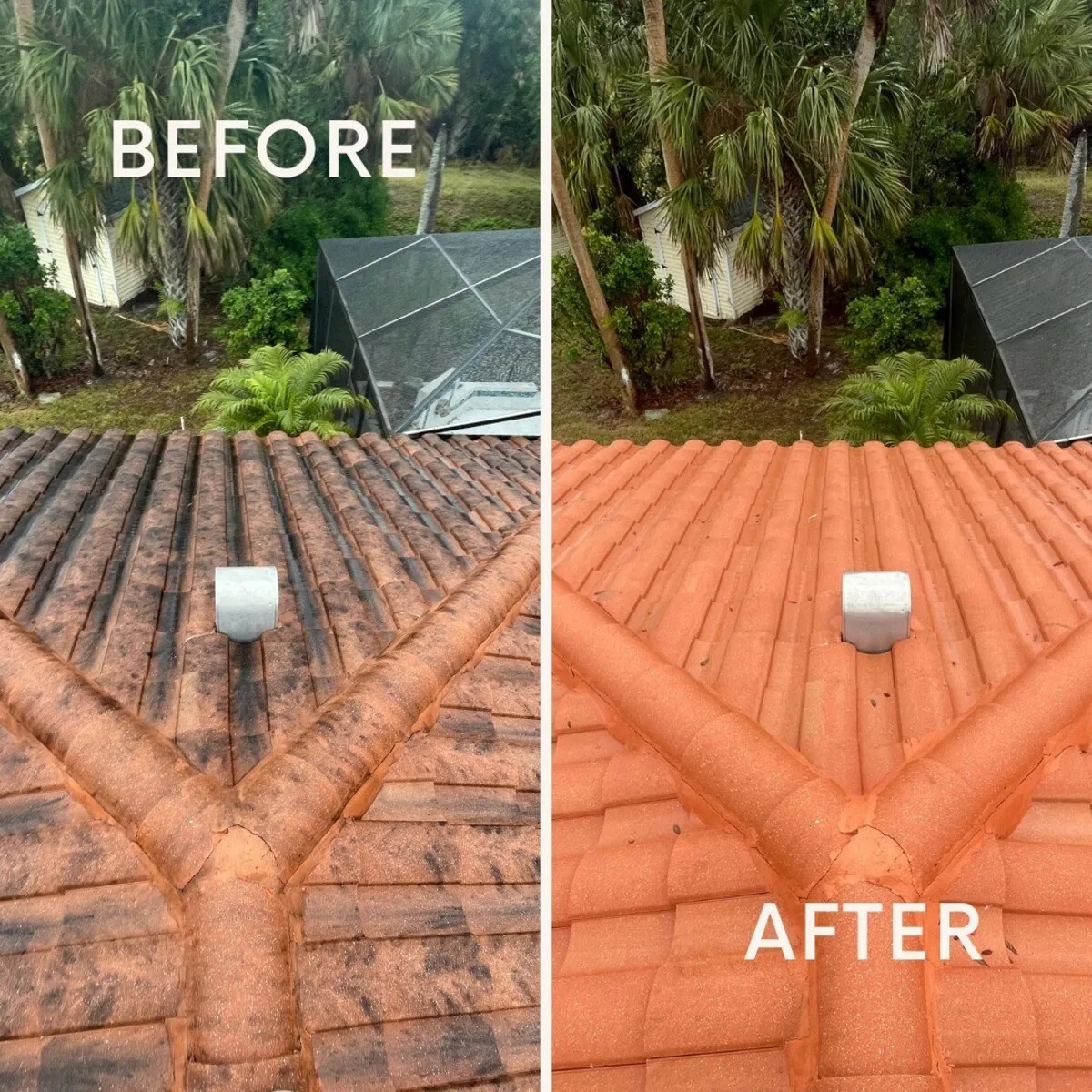 Before and after close-up of a clay barrel tile roof valley in Sarasota: left shows dark algae streaking through the valley, right shows the same area fully clean with vibrant tile color restored after UBA soft wash