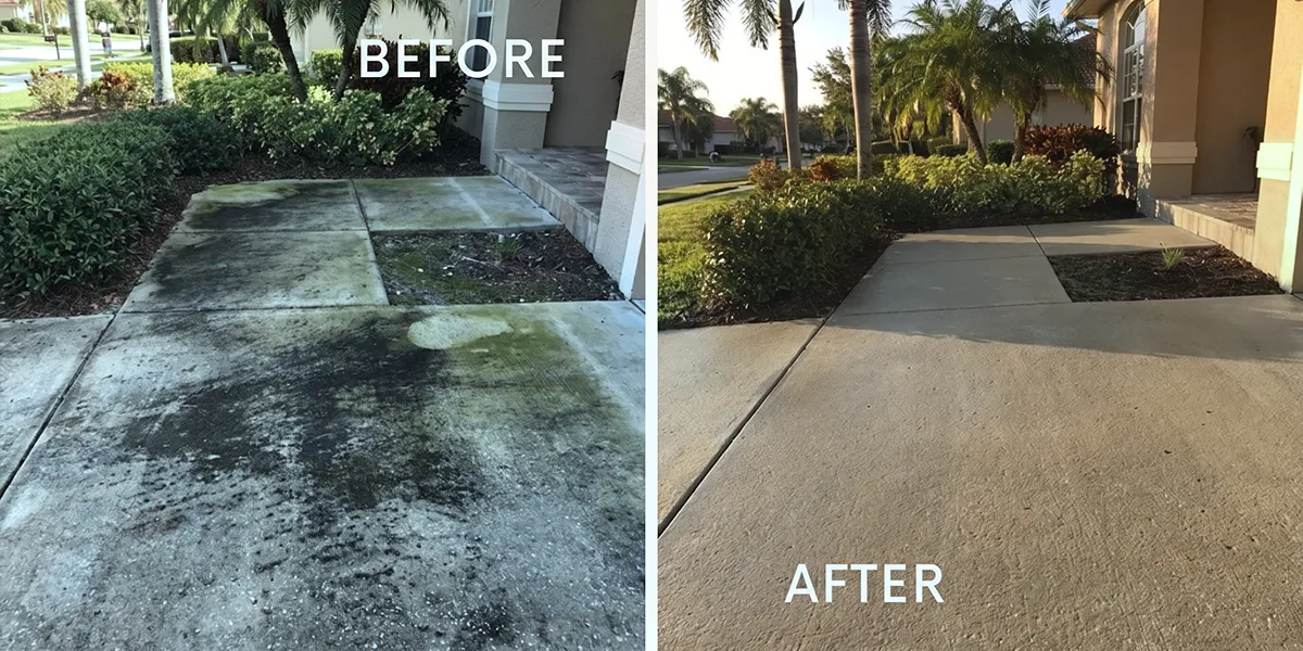 Before and after photo of a Sarasota residential front walkway: left side showing dark mold and mildew staining on concrete, right side showing the same walkway restored to clean, even color after UBA soft wash cleaning